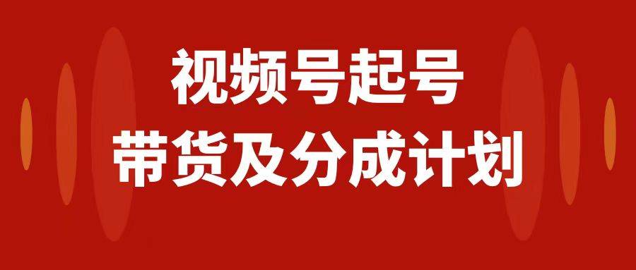 视频号快速起号，分成计划及带货，0-1起盘、运营、变现玩法，日入1000+-学知网