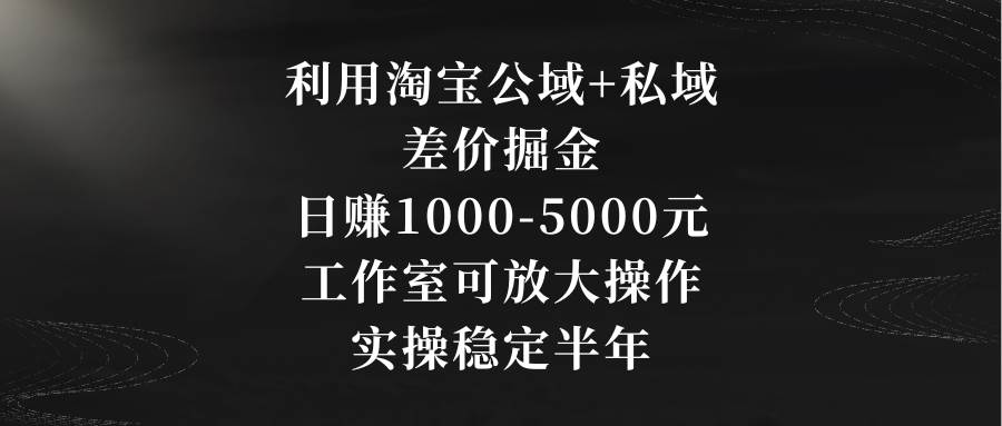 利用淘宝公域+私域差价掘金，日赚1000-5000元，工作室可放大操作，实操…-学知网