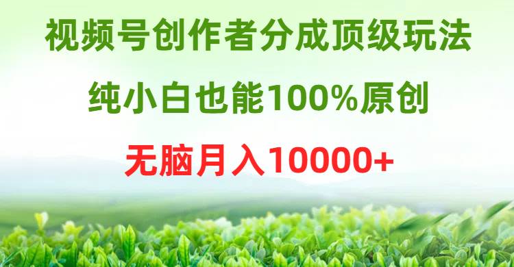 视频号创作者分成顶级玩法，纯小白也能100%原创，无脑月入10000+-学知网