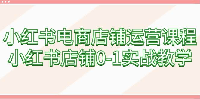 小红书电商店铺运营课程，小红书店铺0-1实战教学（60节课）-学知网