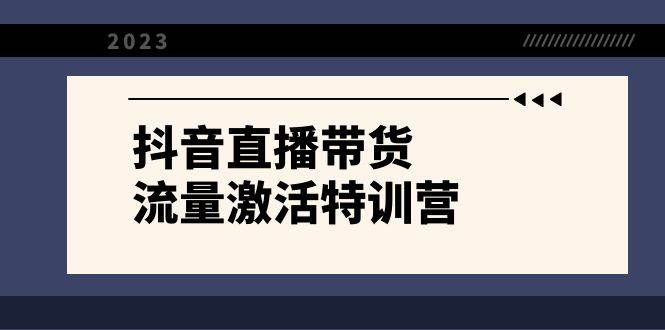 抖音直播带货-流量激活特训营，入行新手小白主播必学（21节课+资料）-学知网