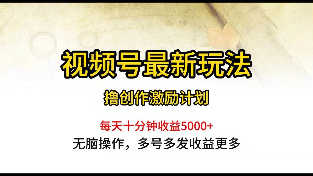 视频号最新玩法，每日一小时月入5000+-学知网