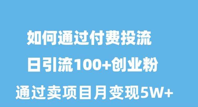 如何通过付费投流日引流100+创业粉月变现5W+-学知网