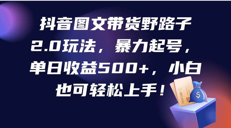 抖音图文带货野路子2.0玩法，暴力起号，单日收益500+，小白也可轻松上手！-学知网