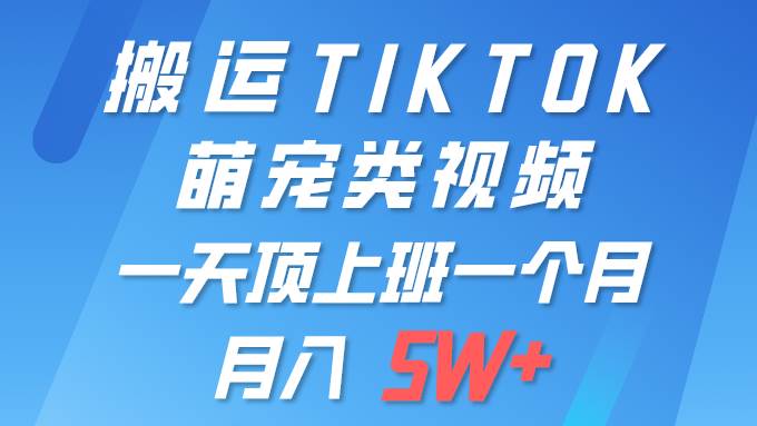 一键搬运TIKTOK萌宠类视频 一部手机即可操作 所有平台均可发布 轻松月入5W+-学知网