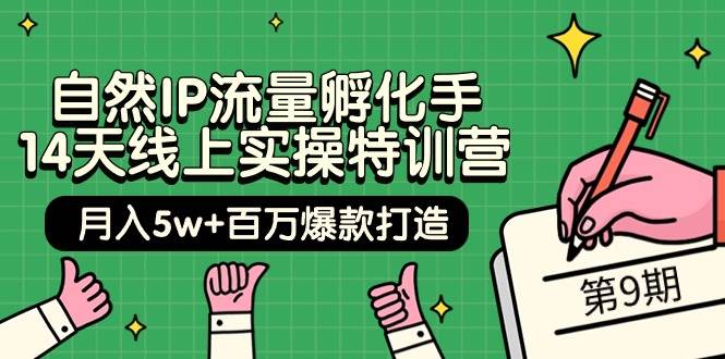 自然IP流量孵化手 14天线上实操特训营【第9期】月入5w+百万爆款打造 (74节)-学知网