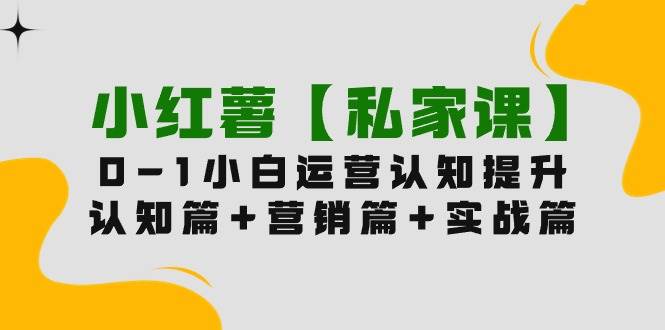 小红薯【私家课】0-1玩赚小红书内容营销，认知篇+营销篇+实战篇（11节课）-学知网