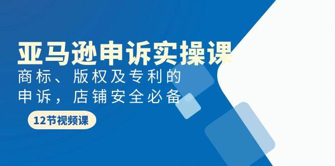 亚马逊-申诉实战课，商标、版权及专利的申诉，店铺安全必备-学知网