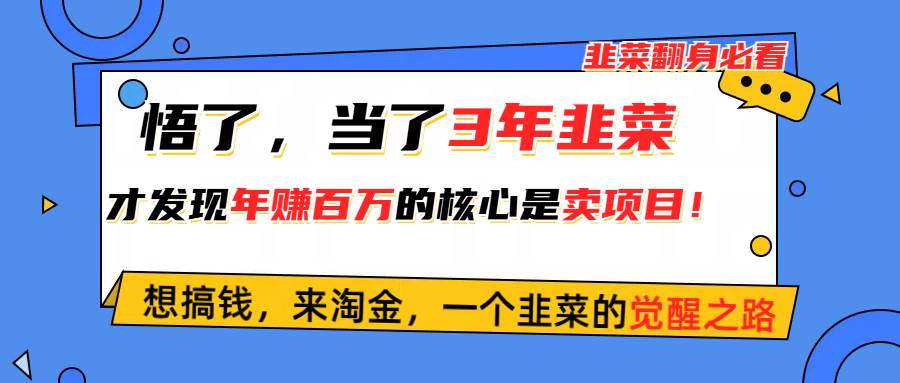 悟了，当了3年韭菜，才发现网赚圈年赚100万的核心是卖项目，含泪分享！-学知网