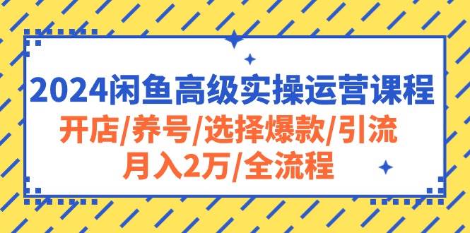 2024闲鱼高级实操运营课程：开店/养号/选择爆款/引流/月入2万/全流程-学知网