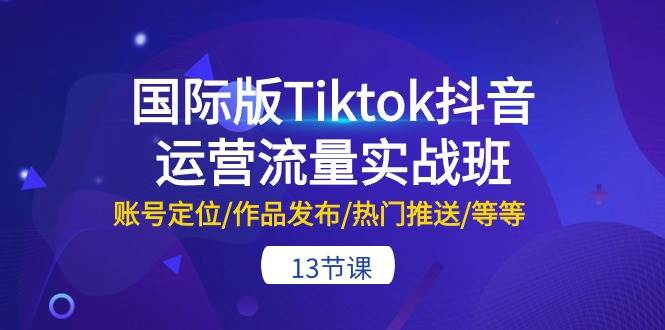 国际版Tiktok抖音运营流量实战班：账号定位/作品发布/热门推送/等等-13节-学知网