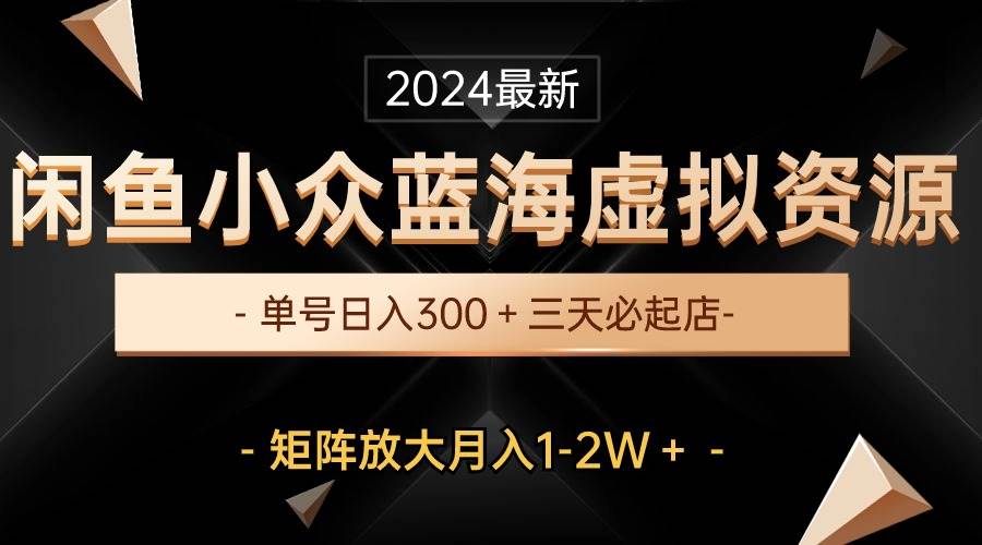 最新闲鱼小众蓝海虚拟资源，单号日入300＋，三天必起店，矩阵放大月入1-2W-学知网