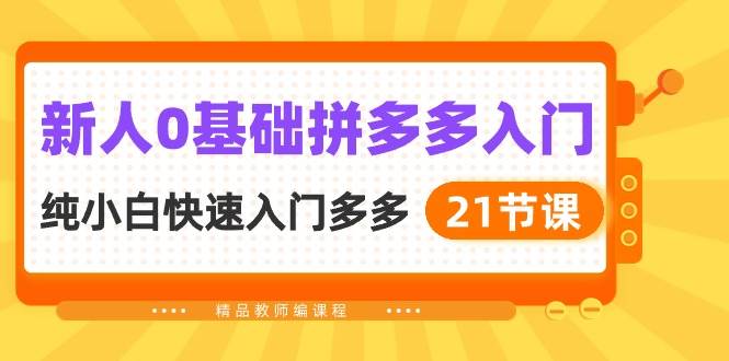 新人0基础拼多多入门，纯小白快速入门多多（21节课）-学知网