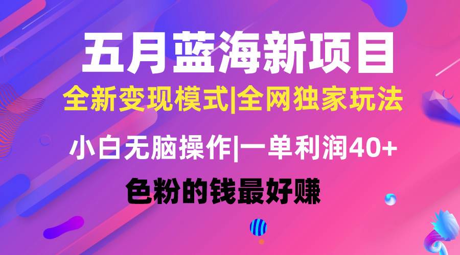 五月蓝海项目全新玩法，小白无脑操作，一天几分钟，矩阵操作，月入4万+-学知网