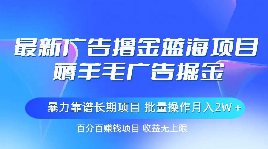 最新广告撸金蓝海项目，薅羊毛广告掘金 长期项目 批量操作月入2W＋-学知网