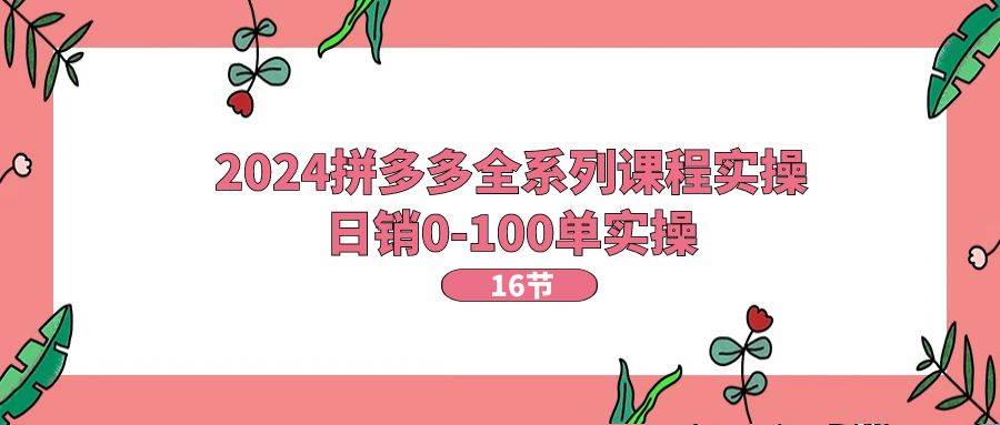 2024拼多多全系列课程实操，日销0-100单实操【16节课】-学知网