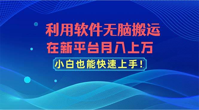 利用软件无脑搬运，在新平台月入上万，小白也能快速上手-学知网