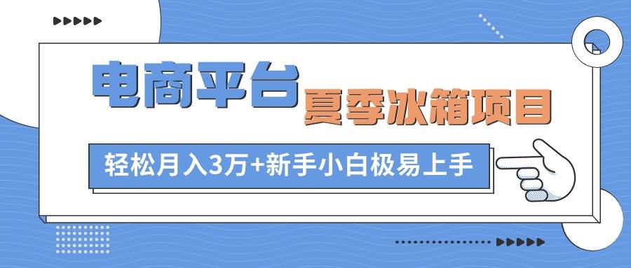 电商平台夏季冰箱项目，轻松月入3万+，新手小白极易上手-学知网