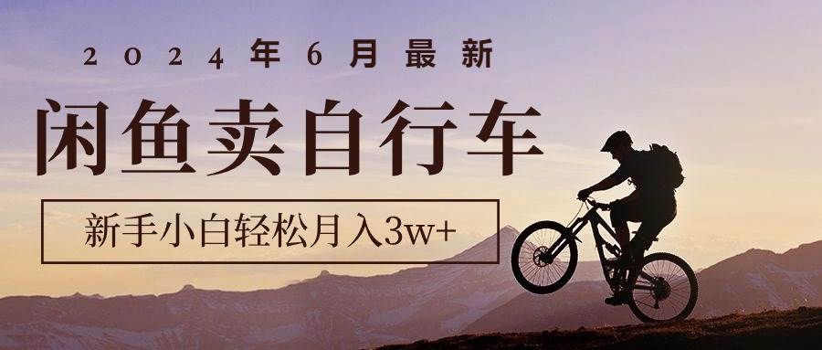 2024年6月最新闲鱼卖自行车，新手小白轻松月入3w+项目-学知网