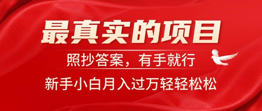 最真实的项目，照抄答案，有手就行，新手小白月入过万轻轻松松-学知网