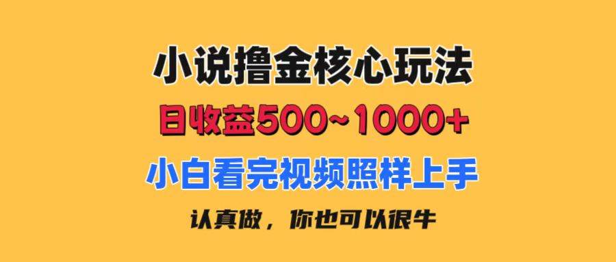 小说撸金核心玩法，日收益500-1000+，小白看完照样上手，0成本有手就行-学知网