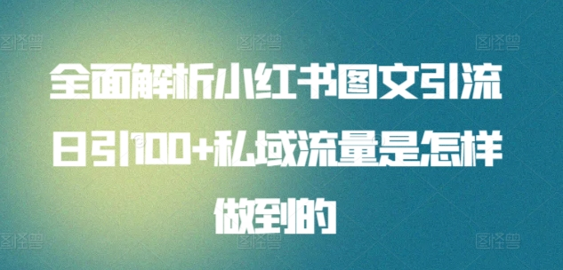 全面解析小红书图文引流日引100私域流量是怎样做到的-学知网