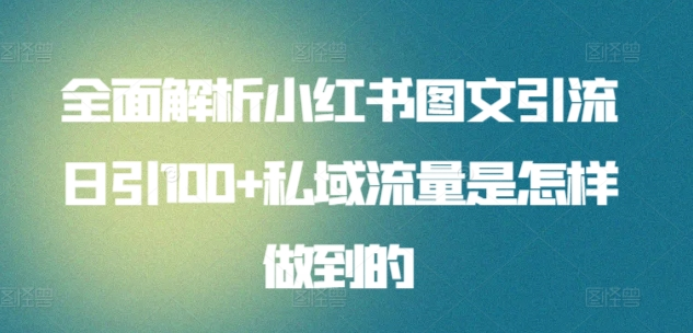 日引流100私域流量小红书图文是怎样做到的全面解析-学知网