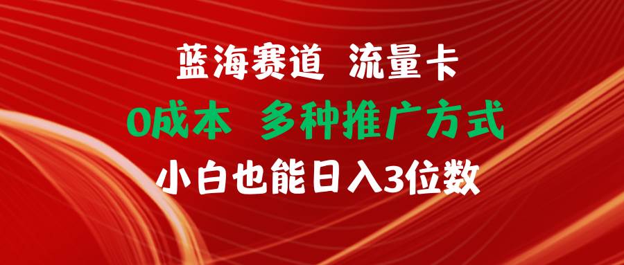 蓝海赛道 流量卡 0成本 小白也能日入三位数-学知网