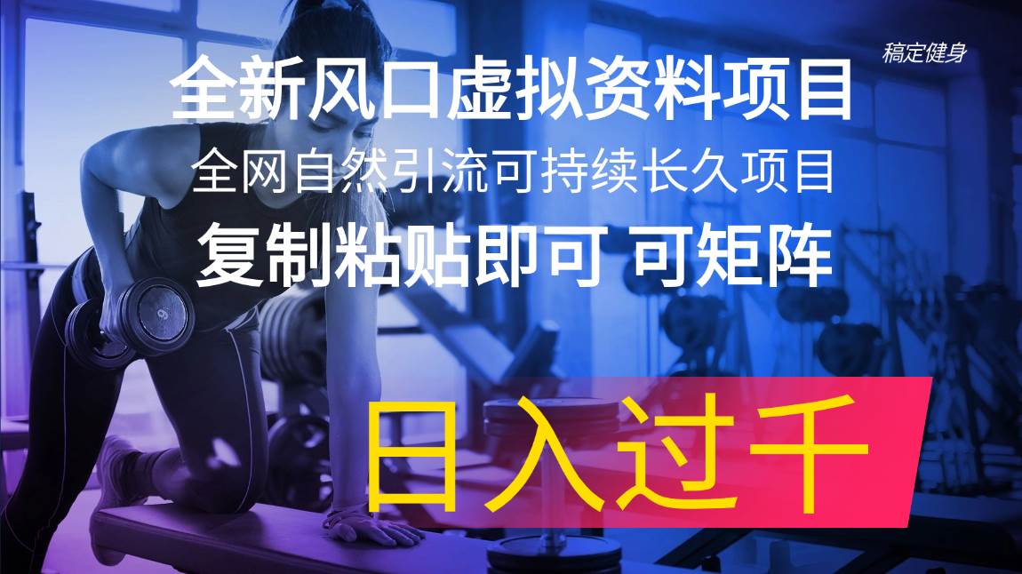 全新风口虚拟资料项目 全网自然引流可持续长久项目 复制粘贴即可可矩阵…-学知网