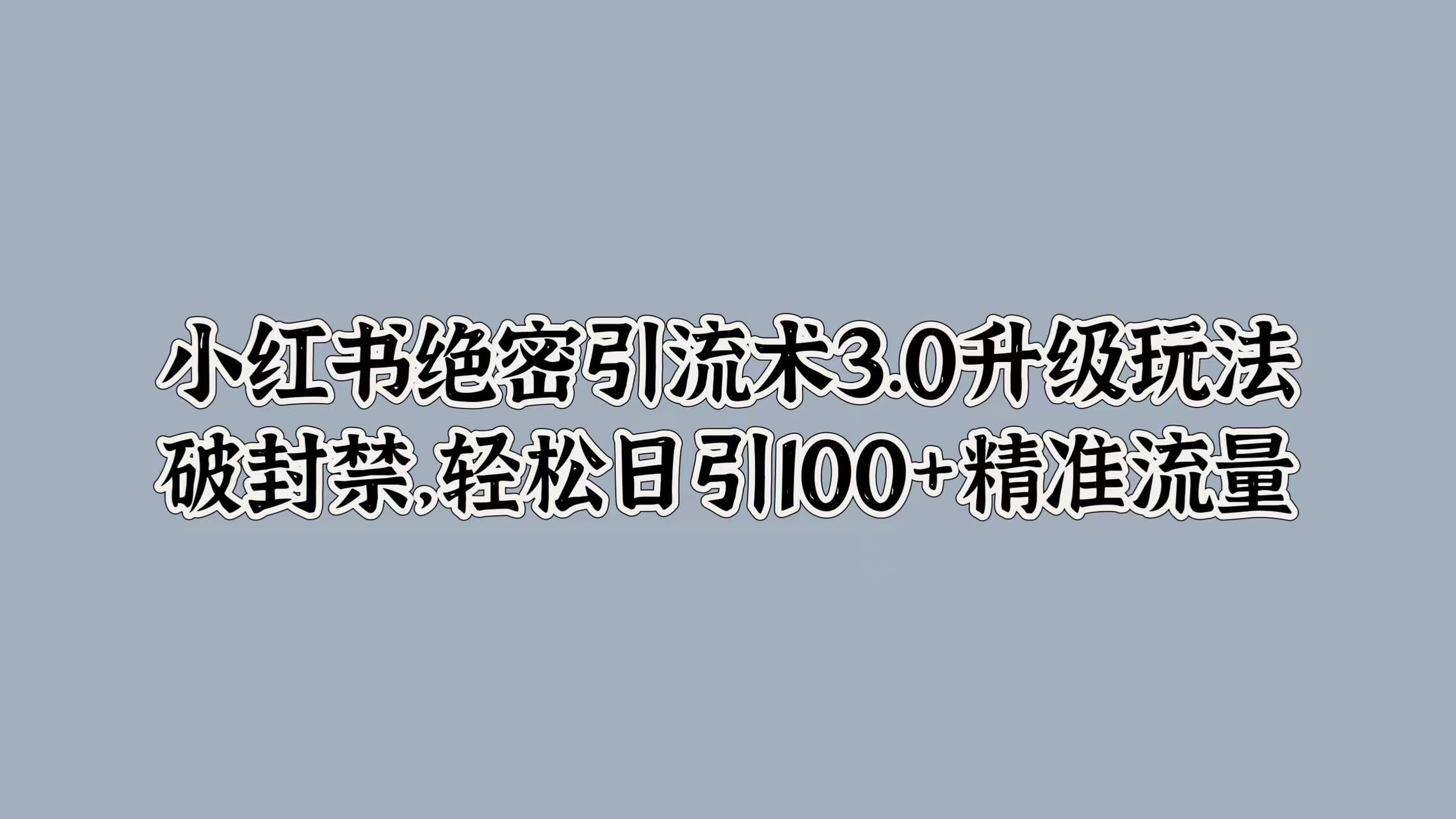 小红书绝密引流术3.0升级玩法，破封禁，轻松日引100+精准流量-学知网