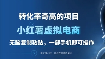 一单49.9，转化率奇高的项目，冷门暴利的小红书虚拟电商-学知网