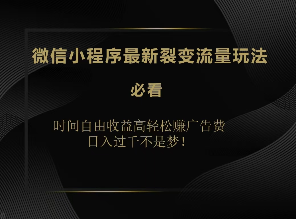 微信小程序最新裂变流量玩法，时间自由收益高轻松赚广告费，日入200-500+-学知网