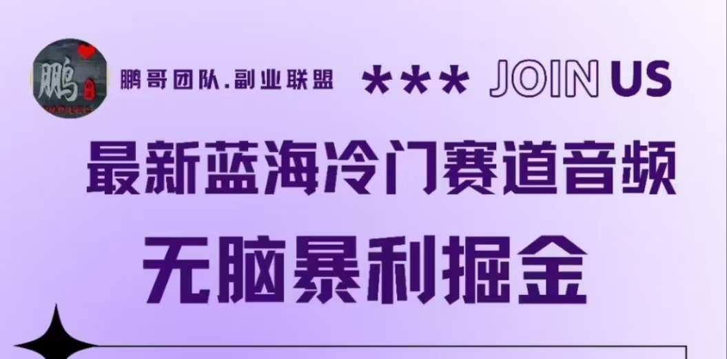 最新蓝海冷门赛道音频，无脑暴利掘金-学知网