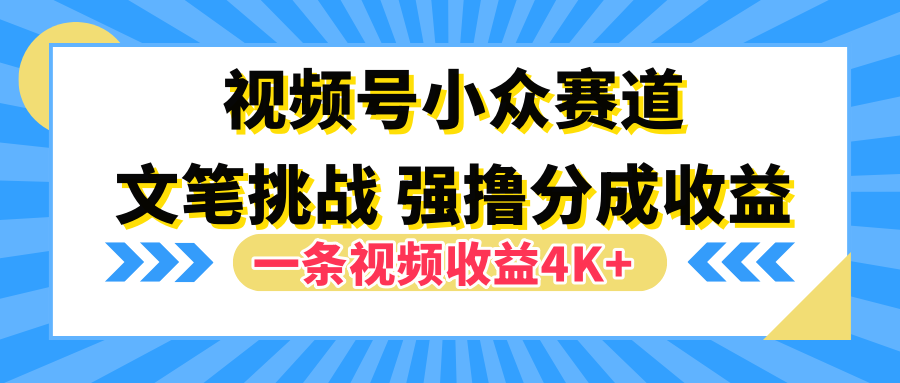 视频号小众赛道，文笔挑战，一条视频收益4K+-学知网