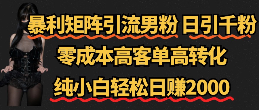 暴利矩阵引流男粉（日引千粉），零成本高客单高转化，纯小白轻松日赚2000+-学知网