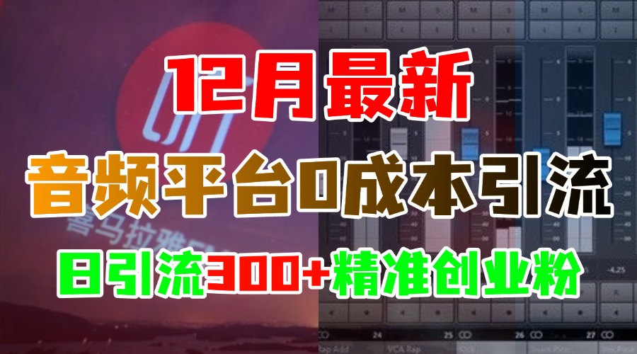 12月最新：音频平台0成本引流，日引300+精准创业粉-学知网