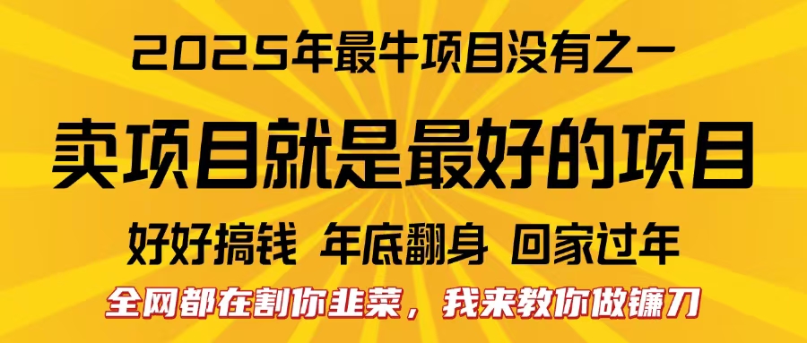 全网都在割你韭菜，我来教你做镰刀。卖项目就是最好的项目，2025年最牛互联网项目-学知网